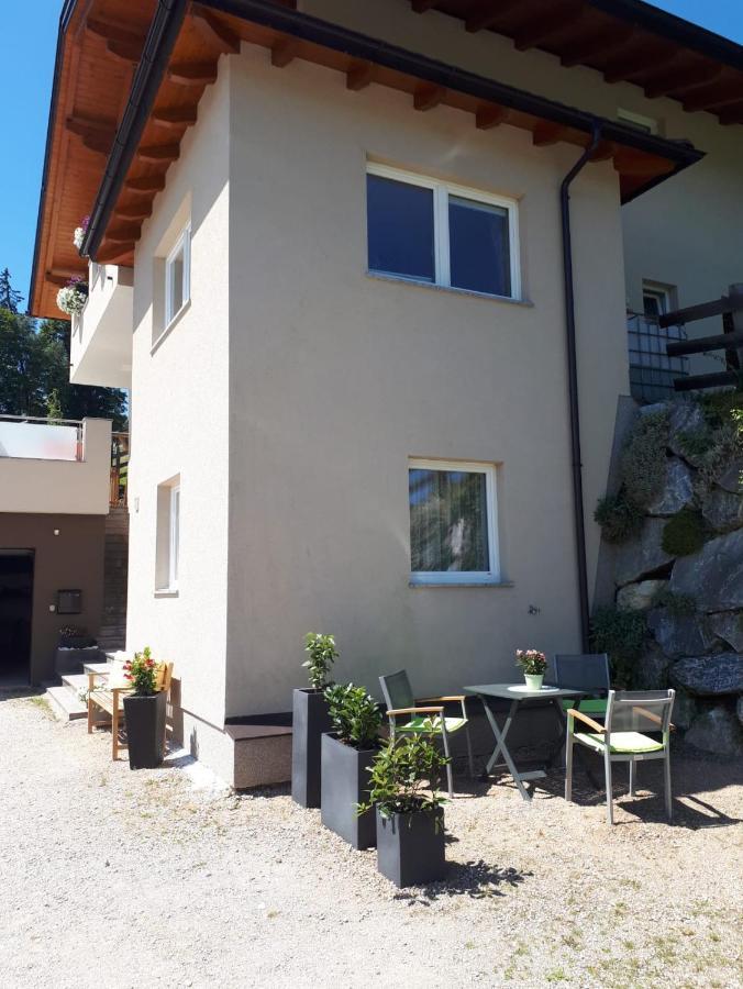 Appartement Jaeger Manuela Flachau Bagian luar foto